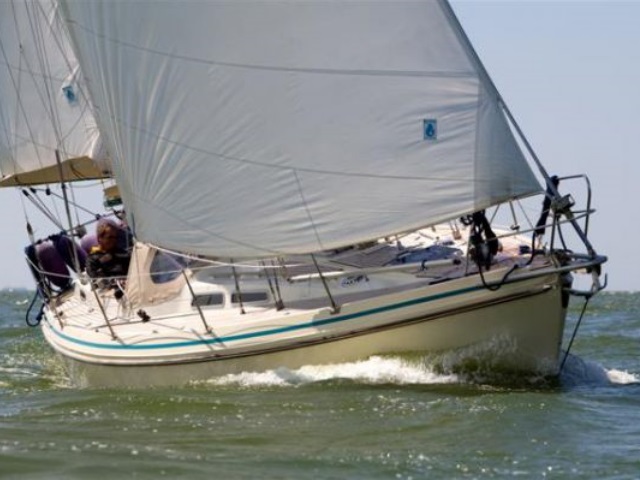 contest yachts 36